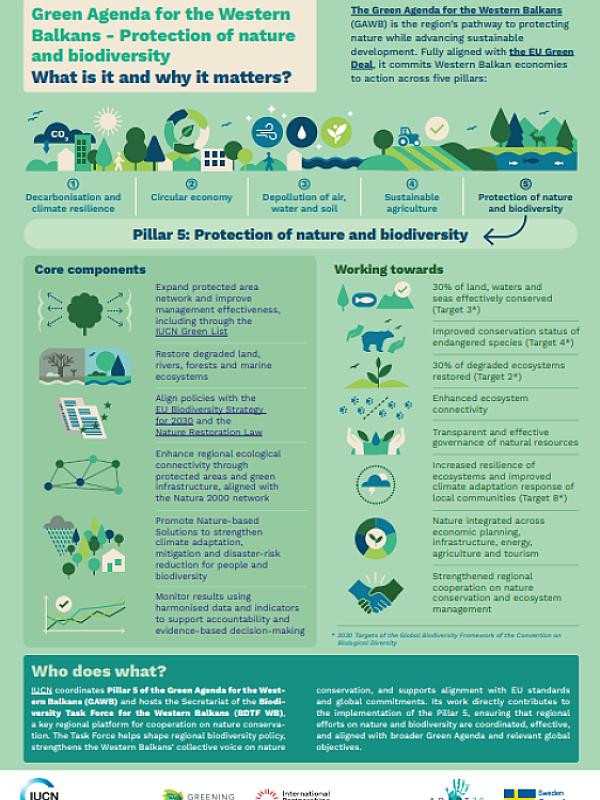 Infographic: What is Pillar 5 of the Green Agenda for the Western Balkans?