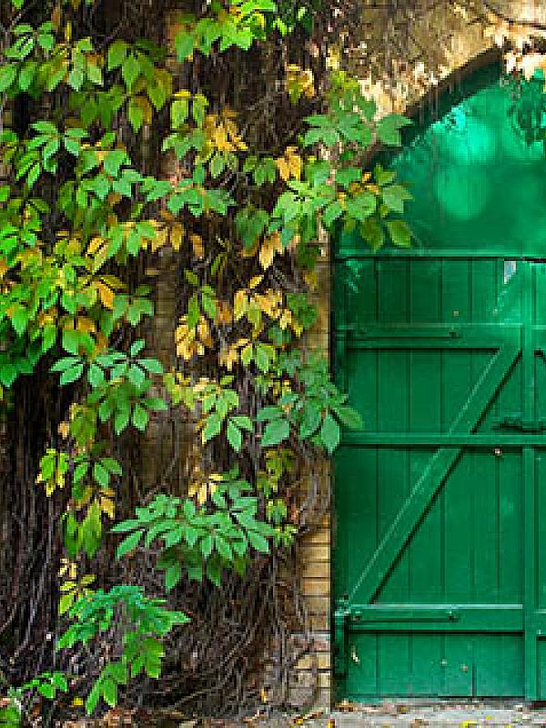 Emerald Network