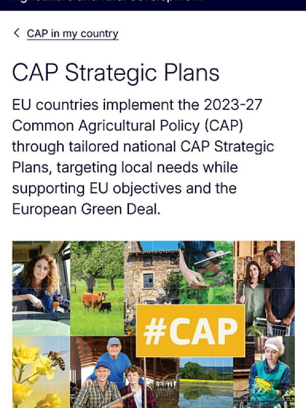 CAP Strategic Plans (CSPs)