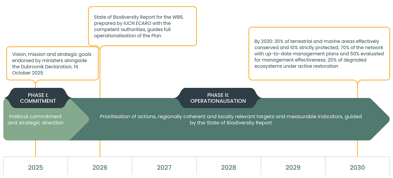 BSP_Figure1_Plan_Timeline