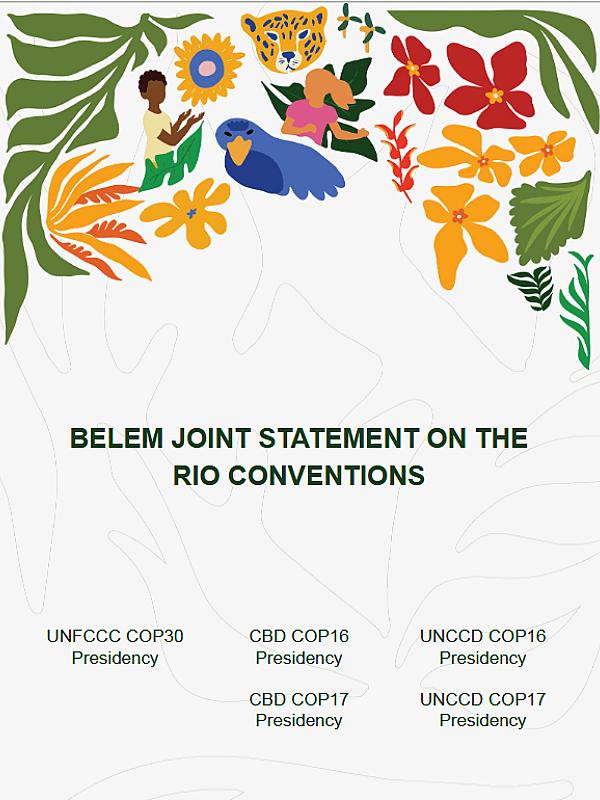 Belem Joint Statement on the Rio Conventions