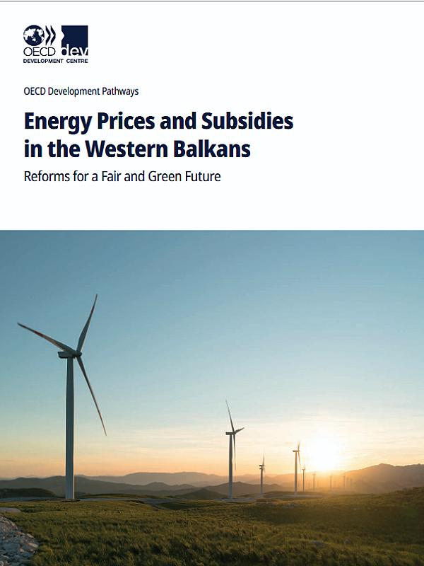 Energy Prices and Subsidies in the Western Balkans: Reforms for a Fair and Green Future