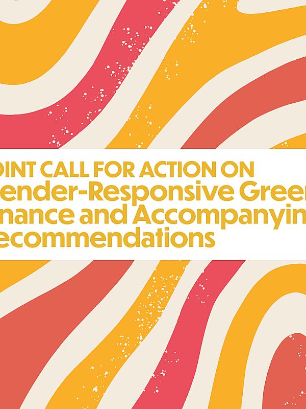 Joint Call for Action on Gender-Responsive Green Finance and Accompanying Recommendations