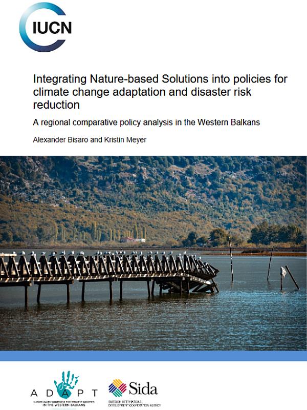 Integrating Nature-based Solutions into policies for climate change adaptation and disaster risk reduction